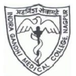 IGGMC Nagpur Bharti 2024 - Walk In Interview