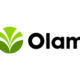 Olam Global Agri Commodities (Hemerus) India Pvt. Ltd Recruitment 2024