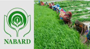 NABARD Bharti 2024