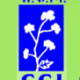 CCI Bharti 2025